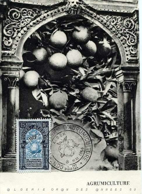 TIMBRES 1 ER JOUR (191).jpg